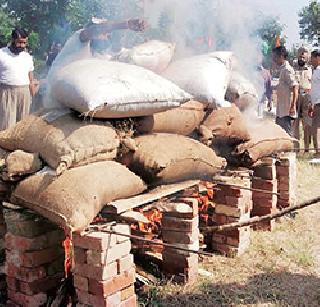 The police burns drugs that cows cow dung - the Supreme Court's questionable question | पोलिस ड्रग्स जाळतात की गायीचे शेण - सुप्रीम कोर्टाचा खोचक सवाल The police burns drugs that cows cow dung - the Supreme Court's questionable question | पोलिस ड्रग्स जाळतात की गायीचे शेण - सुप्रीम कोर्टाचा खोचक सवाल