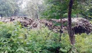 The workers who provided the keys to the Agarbatty project did not get any wages | अगरबत्ती प्रकल्पासाठी काड्या पुरविणाऱ्यांना मजुरीच मिळाली नाही