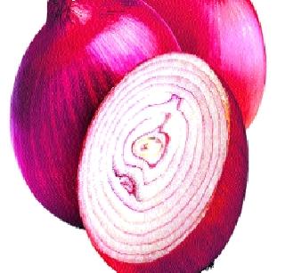 Lasaglagala onion 45 rupees! | लासलगावला कांदा ४५ रुपये किलो ! Lasaglagala onion 45 rupees! | लासलगावला कांदा ४५ रुपये किलो !