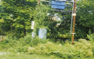 After the power minister, the power department has come out | ऊर्जामंत्र्यांच्या दणक्यानंतर वीज विभाग सरसावले