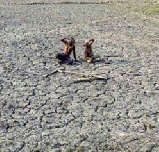 Due to drought, massacre of villagers of gangs | दुष्काळामुळे गंगामसलाच्या ग्रामस्थांचा सामूहिक आत्महत्येचा इशारा Due to drought, massacre of villagers of gangs | दुष्काळामुळे गंगामसलाच्या ग्रामस्थांचा सामूहिक आत्महत्येचा इशारा