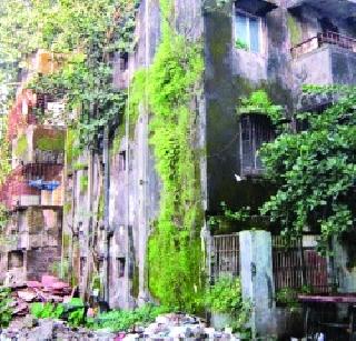 50 buildings dangerous at Panvel | पनवेलमध्ये ५० इमारती धोकादायक 50 buildings dangerous at Panvel | पनवेलमध्ये ५० इमारती धोकादायक