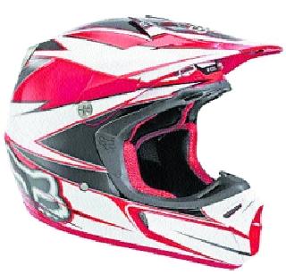 Animals survived by helmet | हेल्मेटमुळे वाचला जीव