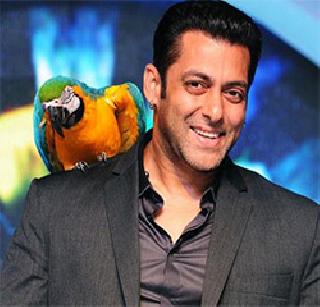 Salman will manage the Big Boss | सलमानच करणार बिग बॉसचे सूत्रसंचालन Salman will manage the Big Boss | सलमानच करणार बिग बॉसचे सूत्रसंचालन