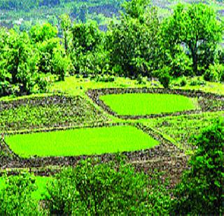 Help of farmers Rs. 3 crores 65 lakhs | शेतकऱ्यांना ३ कोटी ६५ लाखांची मदत