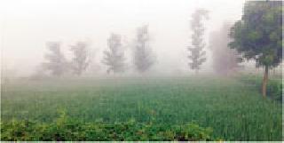 Nature beauty: | निसर्ग सौंदर्य :