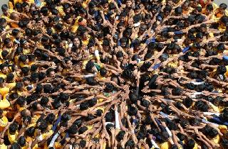 Govinde's jolt ... | गोविंदांचा जल्लोष...