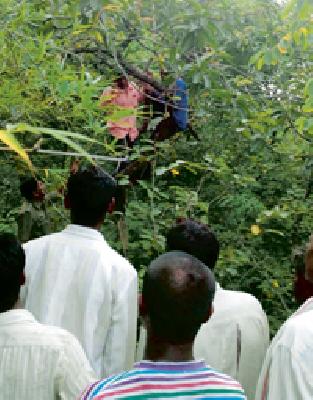 Due to the fear of the tiger, the tree can be two to two hours | वाघाच्या भीतीने दोन तरूण दोन तास झाडावर Due to the fear of the tiger, the tree can be two to two hours | वाघाच्या भीतीने दोन तरूण दोन तास झाडावर
