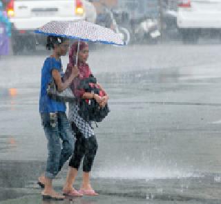 Shawl | श्रावणसरी Shawl | श्रावणसरी