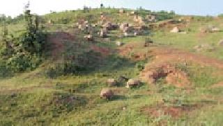 The trees on the mountain need planting - light goddesses | पहाडावर वृक्ष लागवड आवश्यक - प्रकाश देवतळे