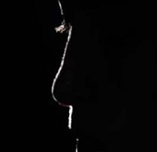 Execution of Kurla rape accused | ‘कुर्ला बलात्कारातील आरोपीला फाशी द्या’ Execution of Kurla rape accused | ‘कुर्ला बलात्कारातील आरोपीला फाशी द्या’