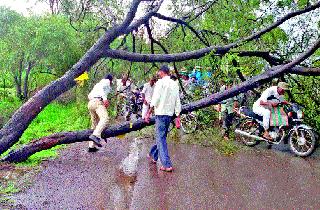 Heavy rain in Yeola city | येवला शहरात पावसाची दमदार हजेरी