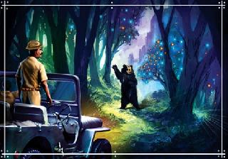 Light, camera, action | लाईट , कॅमेरा, अॅक्शन