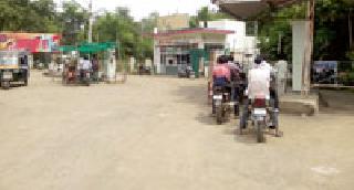 Celebrating bulls | बैल पोळ्याचा उत्सव ... Celebrating bulls | बैल पोळ्याचा उत्सव ...