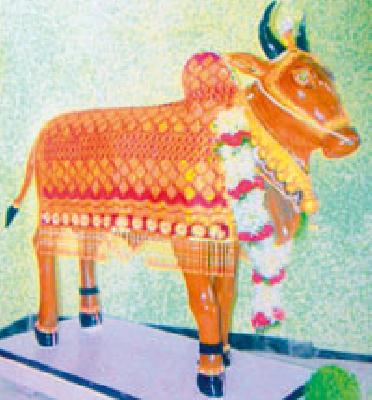 The tradition of 145 years old tradition of Jindagi Seedi (Railway) is celebrated | १४५ वर्षांची परंपरा जपतोय सिंदी (रेल्वे) चा तान्हा पोळा