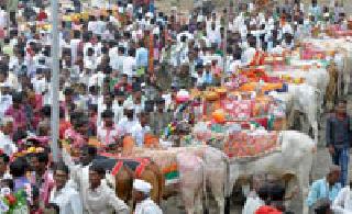 Thattali pairing 'Number One' | थाटातली जोडी ‘नंबर वन’