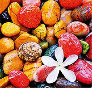 The art of throwing stone | दगडात जीव ओतण्याची कला