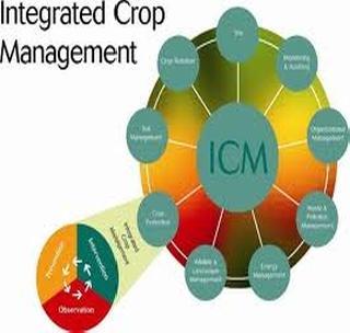 Farmers are now going to learn about crop management management. | शेतक-यांना आता भाजीपाला पीक व्यवस्थापनाचे धडे! Farmers are now going to learn about crop management management. | शेतक-यांना आता भाजीपाला पीक व्यवस्थापनाचे धडे!