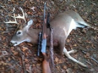 To check the records of the legacies | वनगुन्ह्यांचे रेकॉर्ड तपासणार