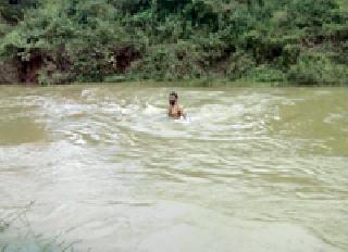 How many more birds should be needed for the bridge? | पुलासाठी आणखी किती बळी हवेत?