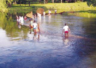 8,000 families support fishery business | मत्स्य व्यवसायातून आठ हजार कुटुंबांना आधार