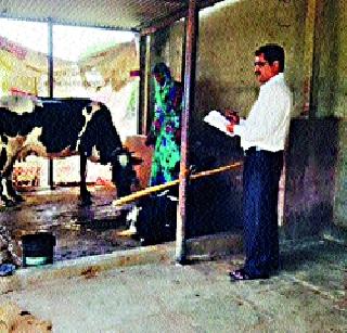 Description stopped; Fodder question is serious! | वणवण थांबली; चारा प्रश्न गंभीरच! Description stopped; Fodder question is serious! | वणवण थांबली; चारा प्रश्न गंभीरच!