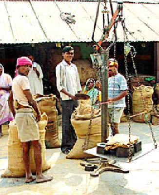 The government's hand in purchasing this year's paddy straw | यावर्षीच्या धान खरेदीत शासनाचा आखडता हात The government's hand in purchasing this year's paddy straw | यावर्षीच्या धान खरेदीत शासनाचा आखडता हात
