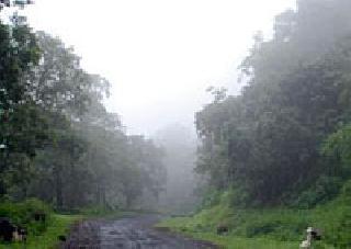 Chikhaldara tourism and 'tigers' are targeting the Melghat | चिखलदरा पर्यटन अन् ‘वाघांचा’ मेळघाट खुणावतोय