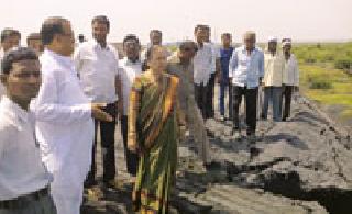 The water flow of the lake stopped due to the ashes of the company | कंपनीने राख टाकल्याने तलावातील पाण्याचा प्रवाह थांबला