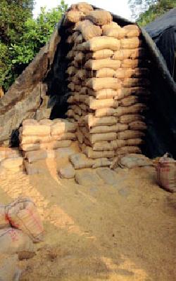 Auctioned rake | सडक्या धानाचा लिलाव