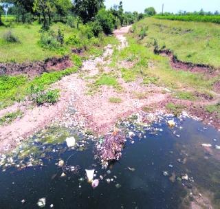Rivers and rivers in Mangaralpur dry up; Concerns of immersion before the devotees | मंगरुळपीरमधील नदी-नाले कोरडे; भाविकांसमोर विसर्जनाची चिंता