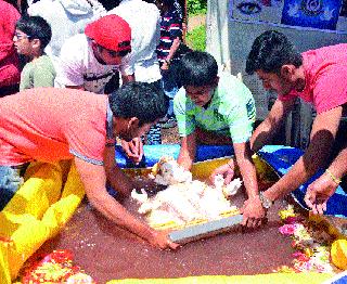 Solid hand for environmental protection | पर्यावरण रक्षणासाठी एकवटले हात Solid hand for environmental protection | पर्यावरण रक्षणासाठी एकवटले हात