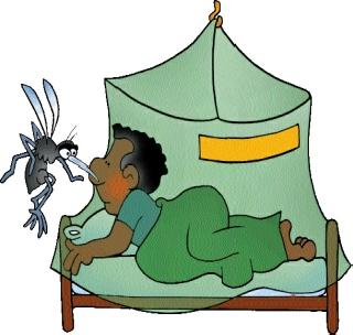 Malaria, dengue disease is a disease! | गावोगावी मलेरिया, डेंग्यू आजाराचे थैमान! Malaria, dengue disease is a disease! | गावोगावी मलेरिया, डेंग्यू आजाराचे थैमान!