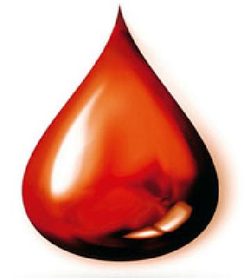 5,606 life blood donation | ५,६०६ रक्तपिशव्यातून जीवनदान