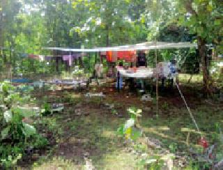 Wandering life: | भटकंतीचे जीवन :