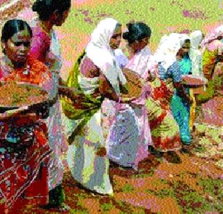 2, 9 17 laborers on NREGA works | नरेगाच्या कामांवर २,९१७ मजूर