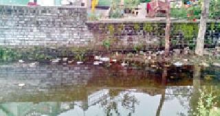 Akoli Gram Panchayat falls in love with forgiveness | आकोली ग्रामपंचायतला पडला स्वच्छतेचा विसर Akoli Gram Panchayat falls in love with forgiveness | आकोली ग्रामपंचायतला पडला स्वच्छतेचा विसर