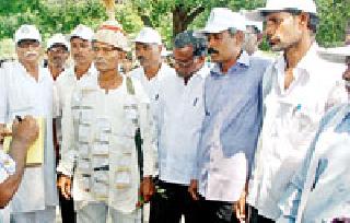 The main attraction of indigenous seeds in Sevagram Ashram has been the main attraction | सेवाग्राम आश्रमात देशी बियाण्यांचा प्रचारक ठरला मुख्य आकर्षण