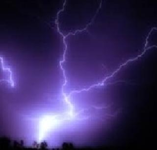 Nine killed in electricity | वीज पडून नऊ ठार Nine killed in electricity | वीज पडून नऊ ठार