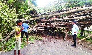 After 10 hours, we got free | दहा तासानंतर झाली वाट मोकळी