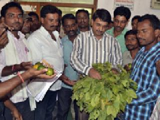 The first day of the week for Gazla | आंदोलनाने गाजला आठवड्याचा पहिला दिवस