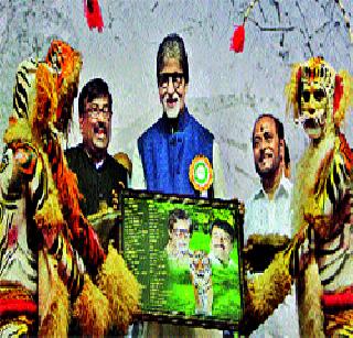 Waghane chases 'Big B' chase | वाघाने केला ‘बिग बी’चा पाठलाग Waghane chases 'Big B' chase | वाघाने केला ‘बिग बी’चा पाठलाग