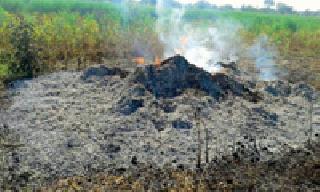 Soya bean fire: | सोयाबीनला आग: Soya bean fire: | सोयाबीनला आग: