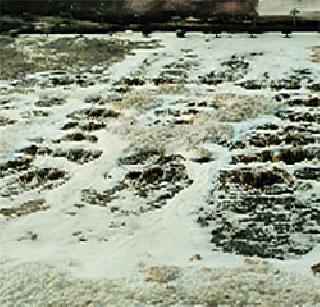 Gas production from waste in Mumbai | मुंबईत कचऱ्यातून गॅसनिर्मिती सुरू Gas production from waste in Mumbai | मुंबईत कचऱ्यातून गॅसनिर्मिती सुरू