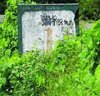 The directional plate does not show due to grass | दिशादर्शक फलक गवतामुळे दिसेनासे