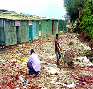 Turtle slaughter in Ghatkopar | घाटकोपरमध्ये तिवरांची कत्तल Turtle slaughter in Ghatkopar | घाटकोपरमध्ये तिवरांची कत्तल