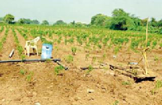 Treasures of the world on the floors of the world | जगाच्या पोशिंद्यावरच कर्जाचा डोंगर