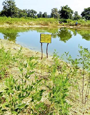 Support provided by the farmer | शेततळ्याने दिला आधार Support provided by the farmer | शेततळ्याने दिला आधार