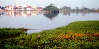 Beauty Harpale: | सौंदर्य हरपले : Beauty Harpale: | सौंदर्य हरपले :