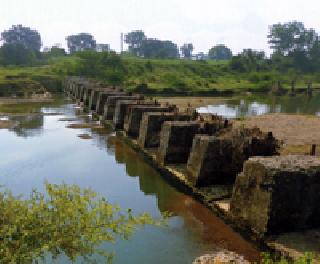 Dream of Green Revolution was broken! | हरितक्रांतीचे स्वप्न भंगले!